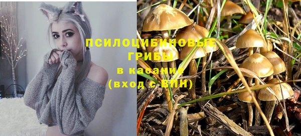 амф Алексеевка