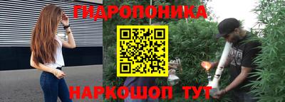 бошки Гусев