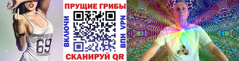 где можно купить наркотик  Нижнеудинск  Галлюциногенные грибы Psilocybe 