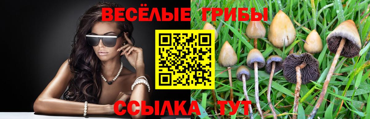 Галлюциногенные грибы мухоморы  Вход с VPN  Нижнеудинск 