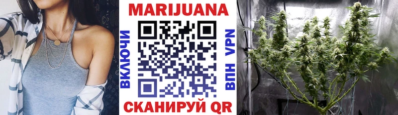Бошки марихуана SATIVA & INDICA где купить наркоту Нижнеудинск